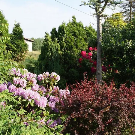 Zaepernick Erdgeschoss Appartamento Dierhagen